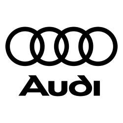 Audi Repair